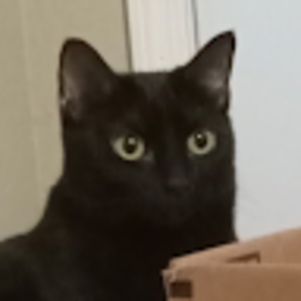 Meet your Posher, Kara